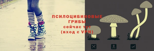 Альфа ПВП Алексин