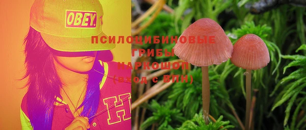 ПСИЛОЦИБИНОВЫЕ ГРИБЫ Абаза