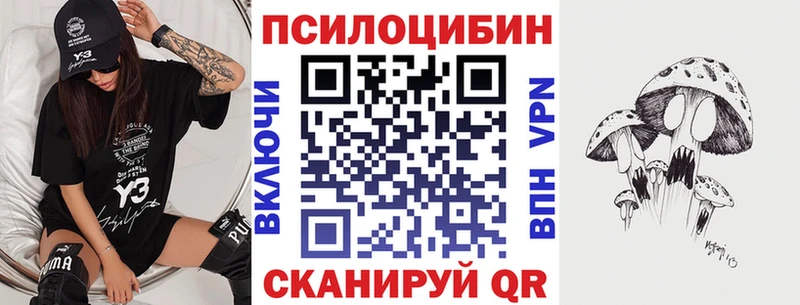 маркетплейс состав  как найти закладки  Новая Усмань  Псилоцибиновые грибы Cubensis 